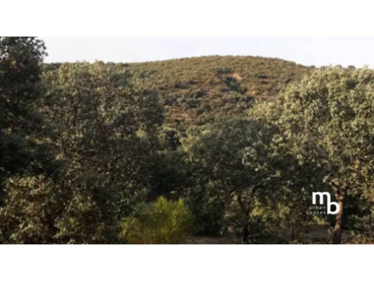 terrenos en el-casar · mesones-de-uceda 75000.00€