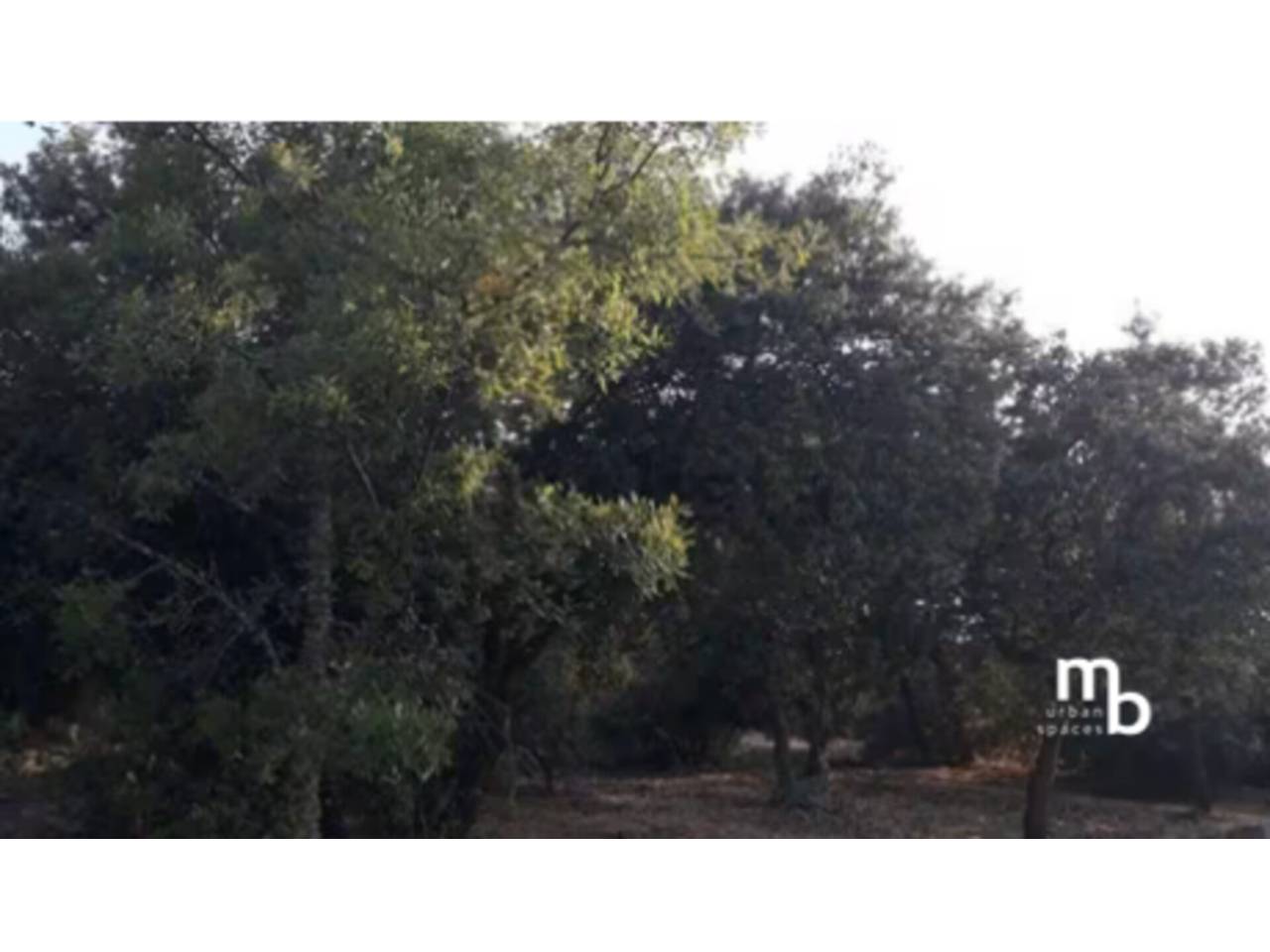 terrenos en el-casar · mesones-de-uceda 75000.00€