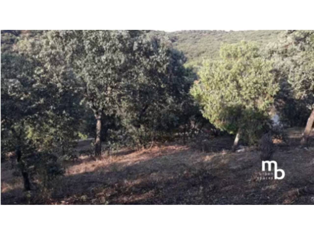 terrenos en el-casar · mesones-de-uceda 75000.00€