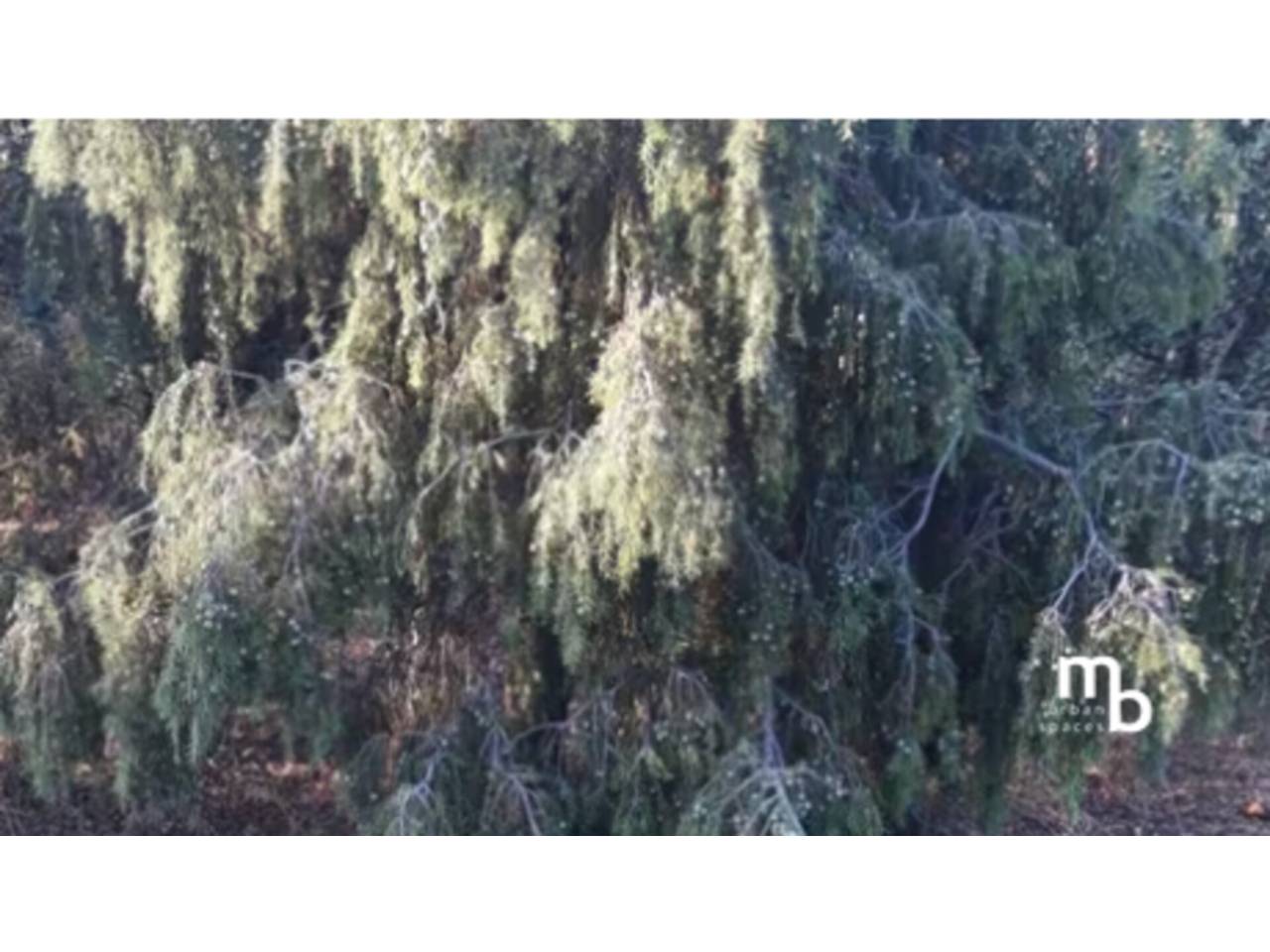 terrenos en el-casar · mesones-de-uceda 75000.00€