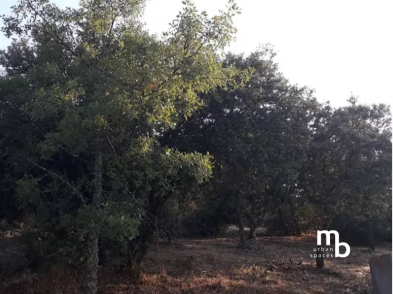 terrenos en el-casar · mesones-de-uceda 75000.00€