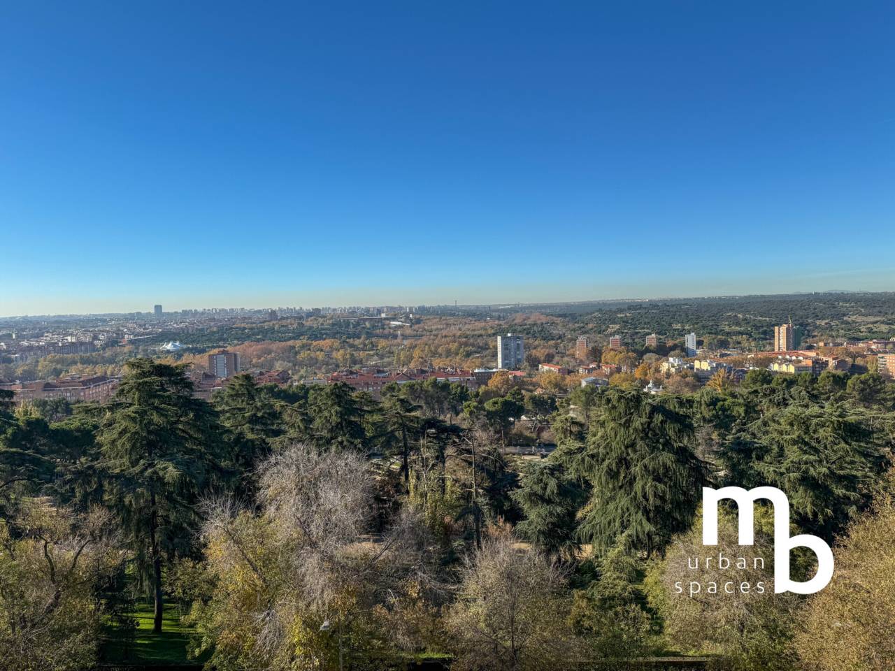 pisos en madrid-capital · argüelles 4350000.00€