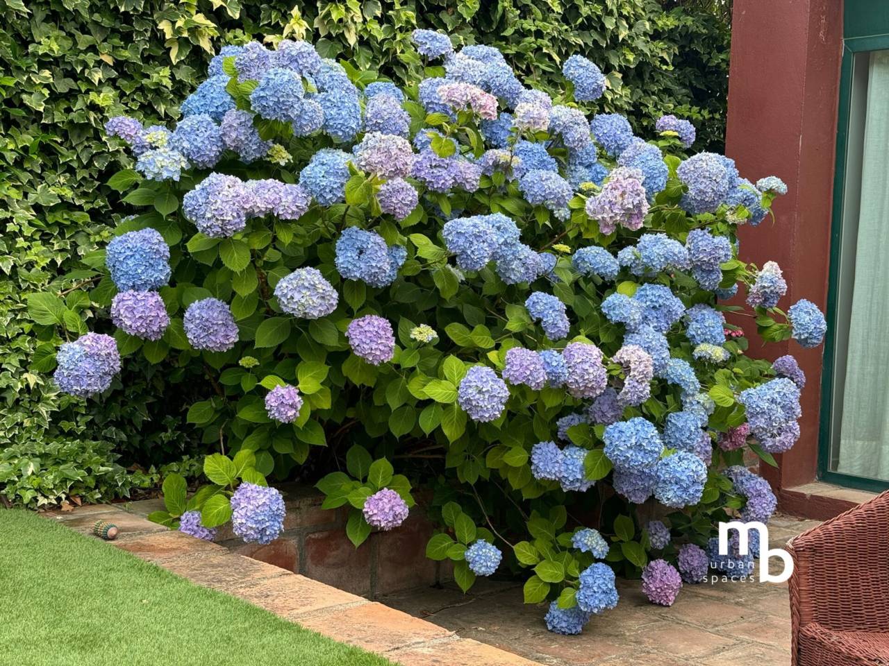 chalet-pareado en pozuelo-de-alarcon · estacion-zona-norte 1450000.00€