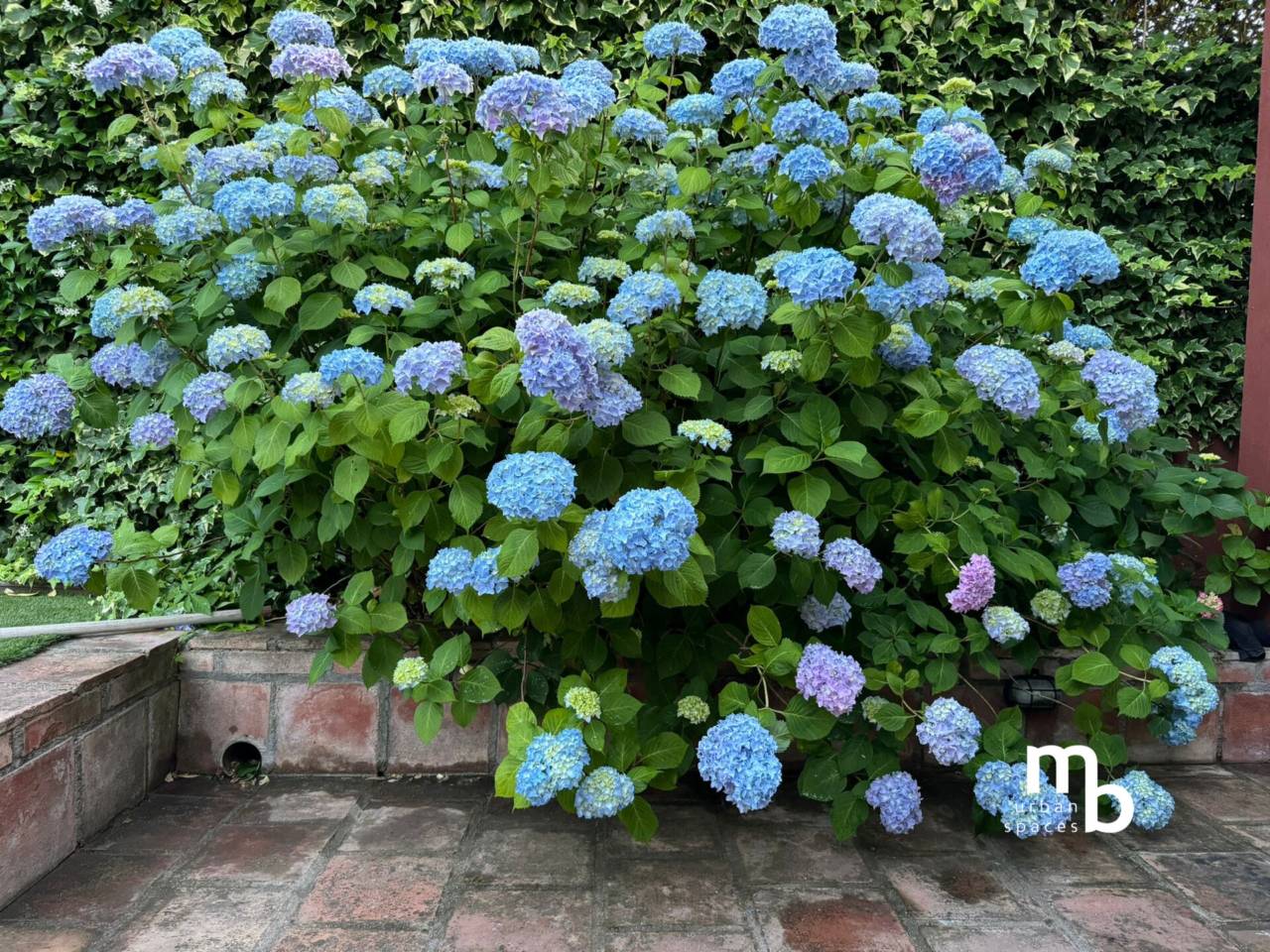 chalet-pareado en pozuelo-de-alarcon · estacion-zona-norte 1450000.00€