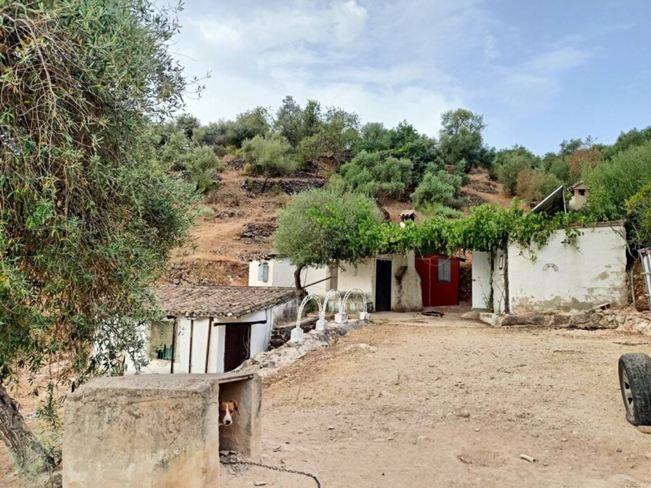 Imagen Vivienda