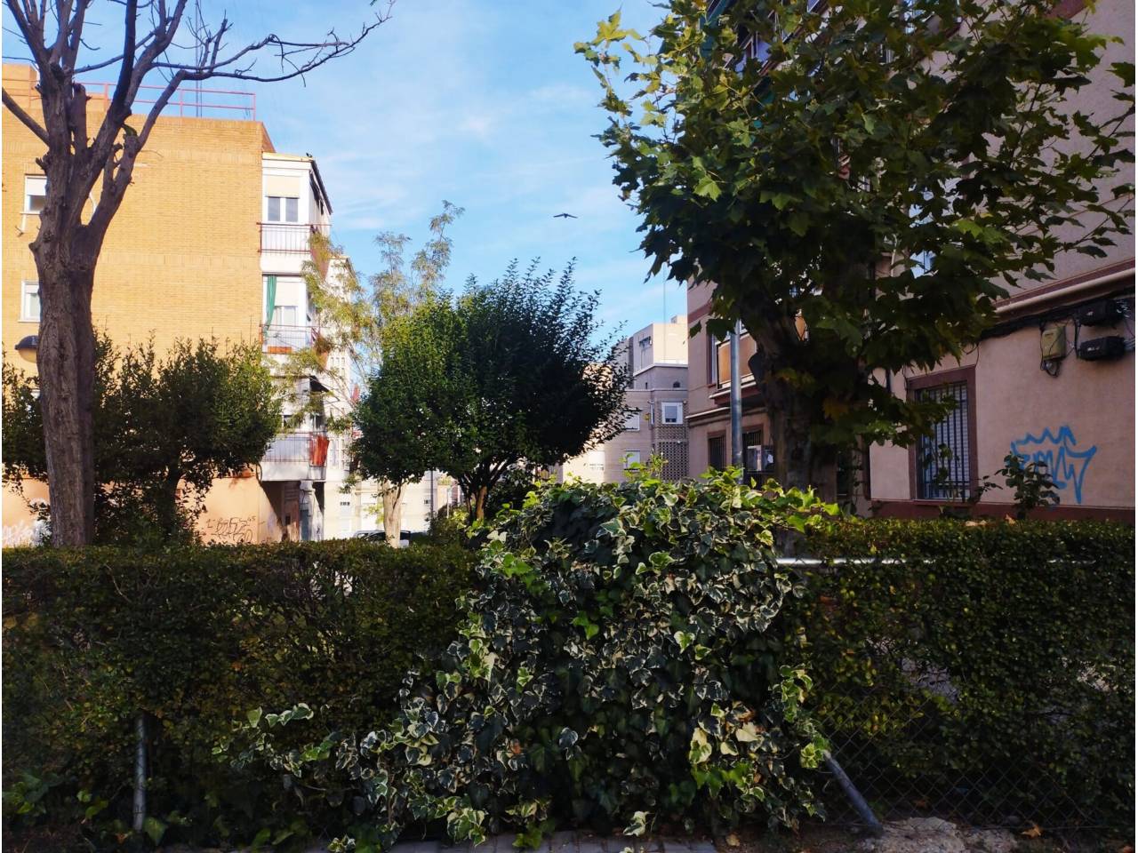 Imagen Vivienda