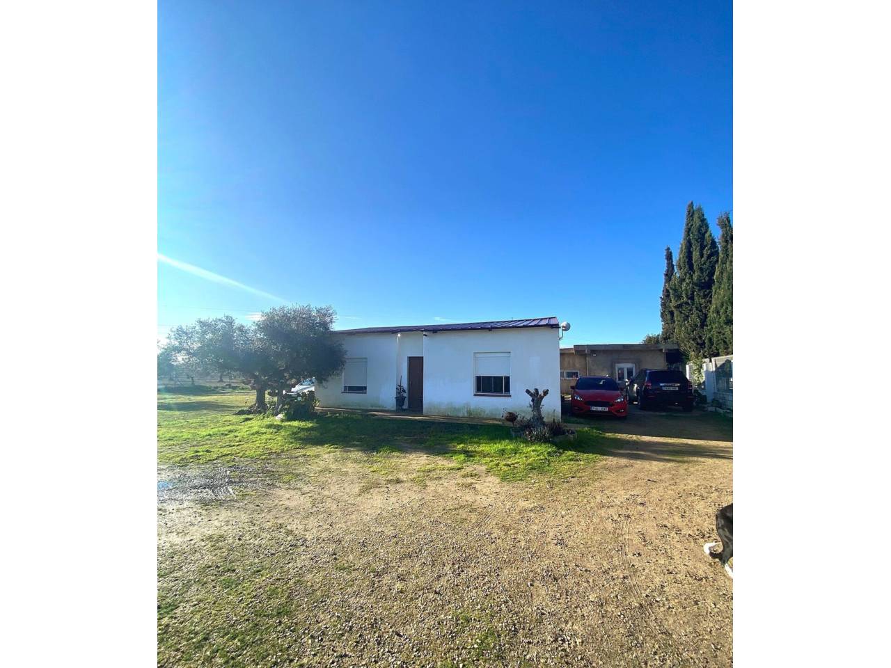 fincas en merida · nueva-ciudad 156000.00€