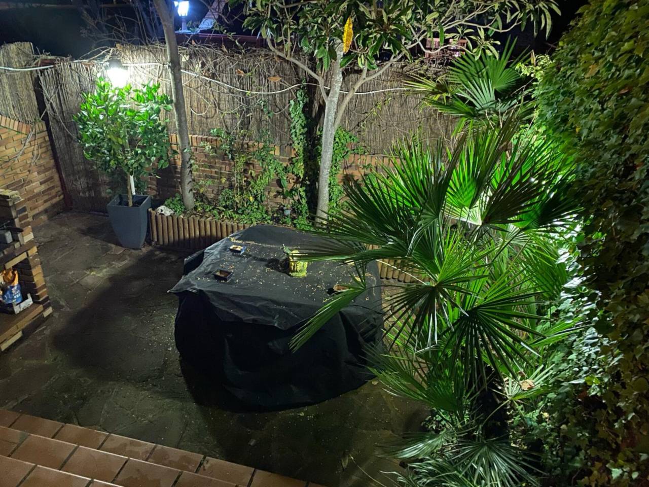 imagen no disponible