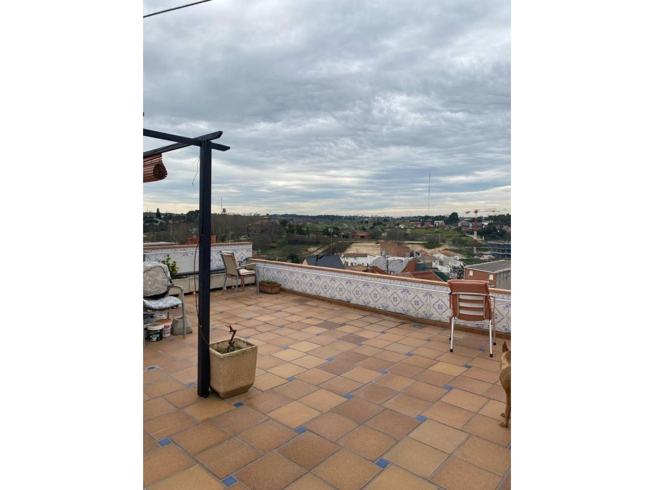 imagen no disponible