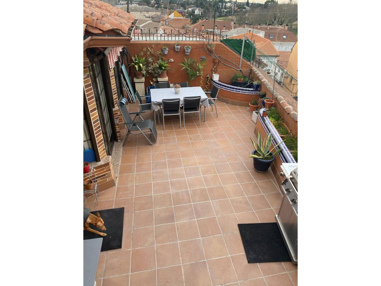 imagen no disponible