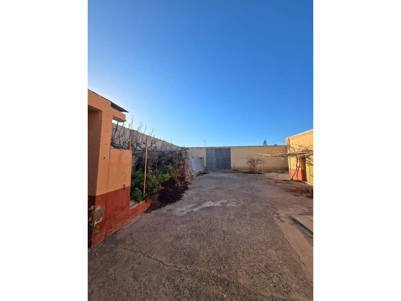 imagen no disponible