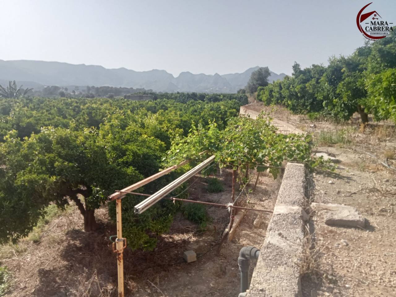 terrenos en palma-de-gandia · palma-de-gandia 87000.00€