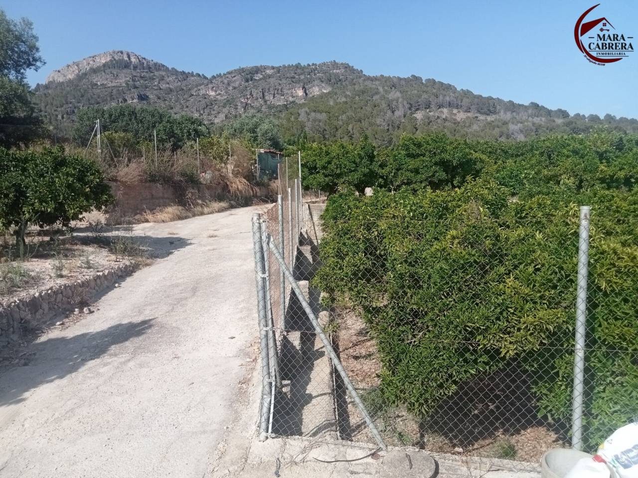 terrenos en palma-de-gandia · palma-de-gandia 87000.00€