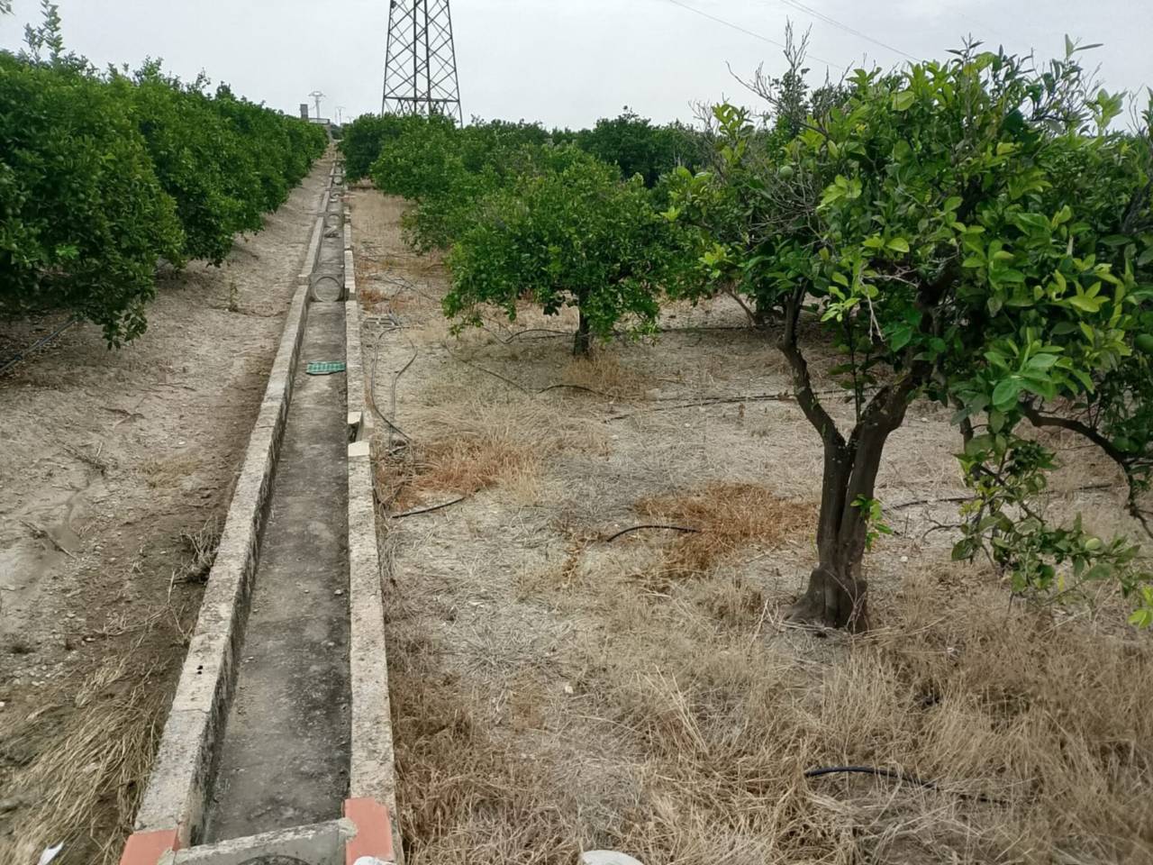 terrenos en piles · piles 20500.00€