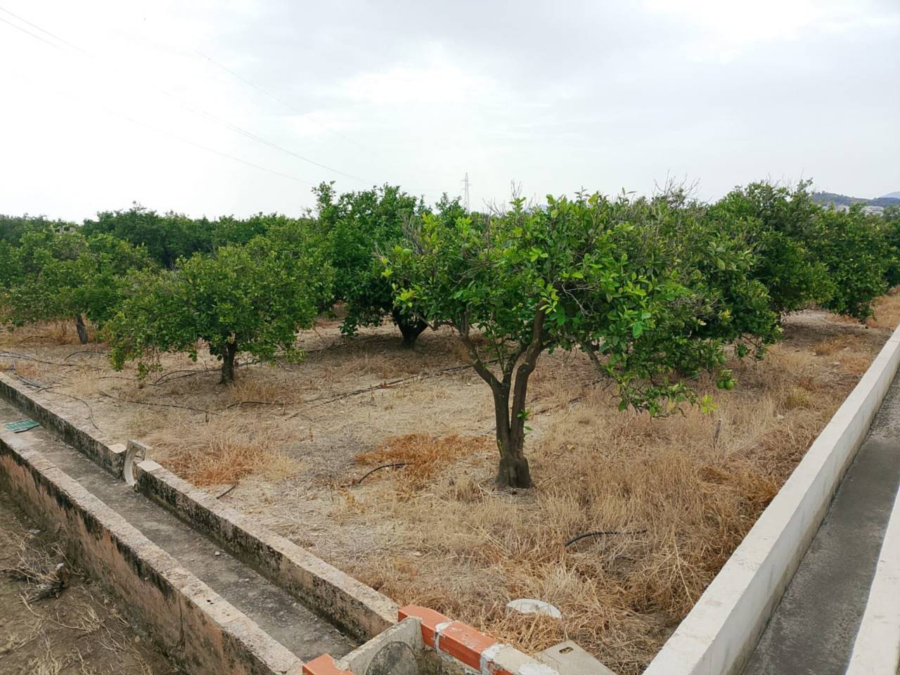 terrenos en piles · piles 20500.00€