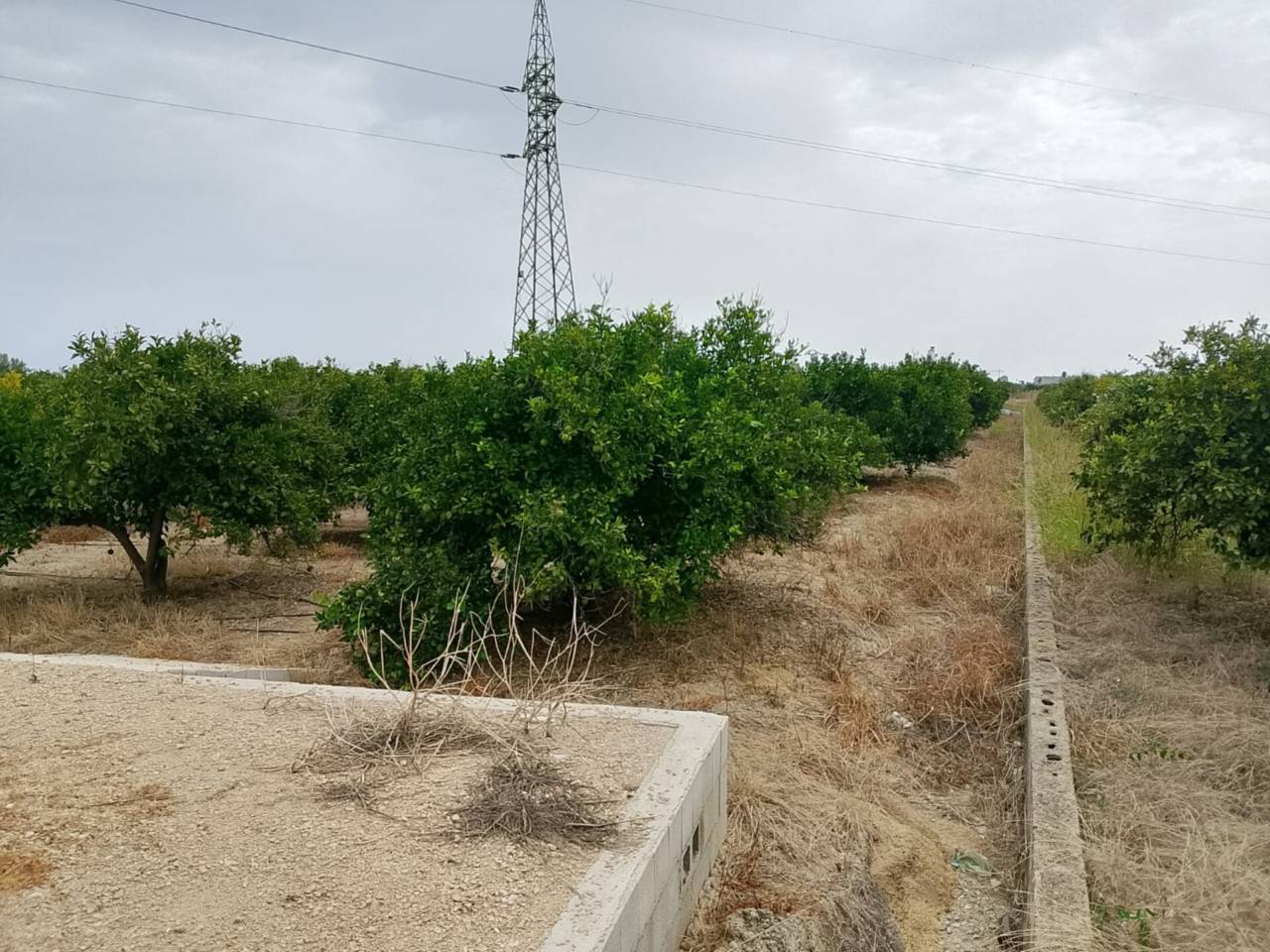 terrenos en piles · piles 20500.00€