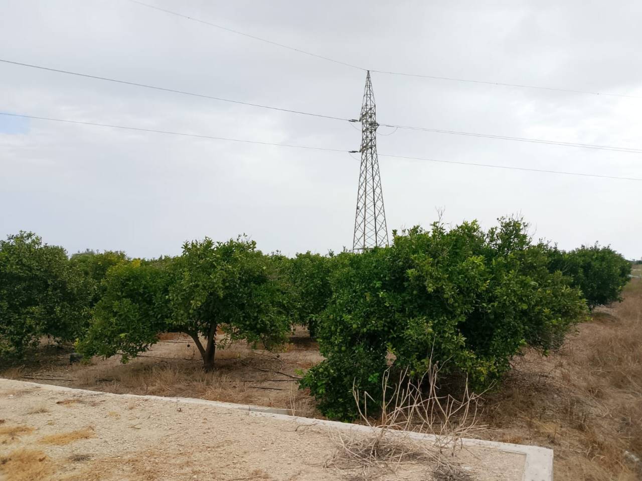 terrenos en piles · piles 20500.00€