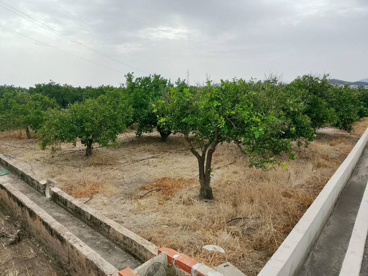 terrenos en piles · piles 20500.00€