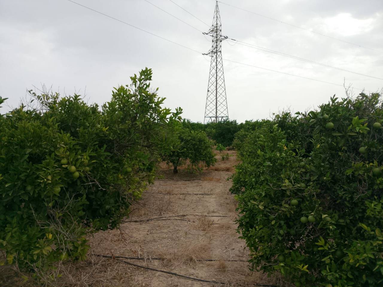 terrenos en piles · piles 20500.00€