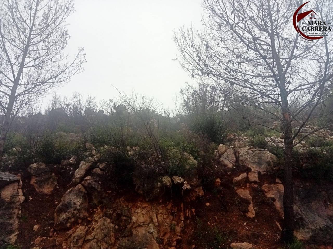 terrenos en vilallonga---villalonga · vilallonga---villalonga 125000.00€