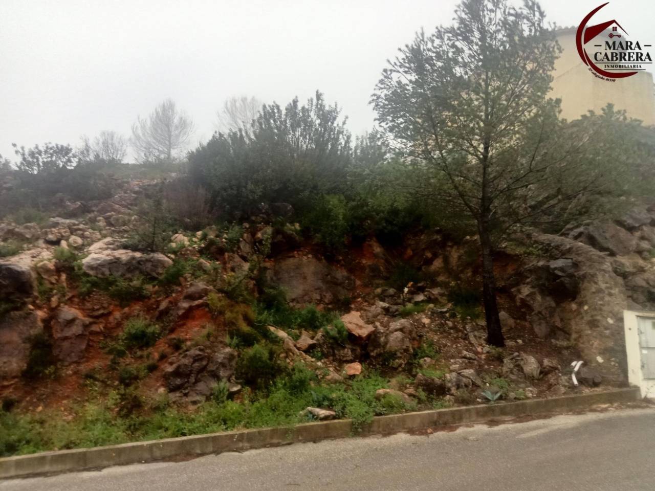 terrenos en vilallonga---villalonga · vilallonga---villalonga 125000.00€