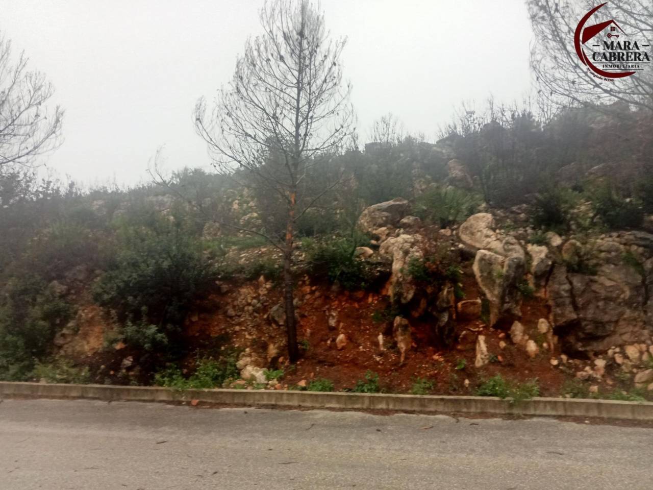 terrenos en vilallonga---villalonga · vilallonga---villalonga 125000.00€
