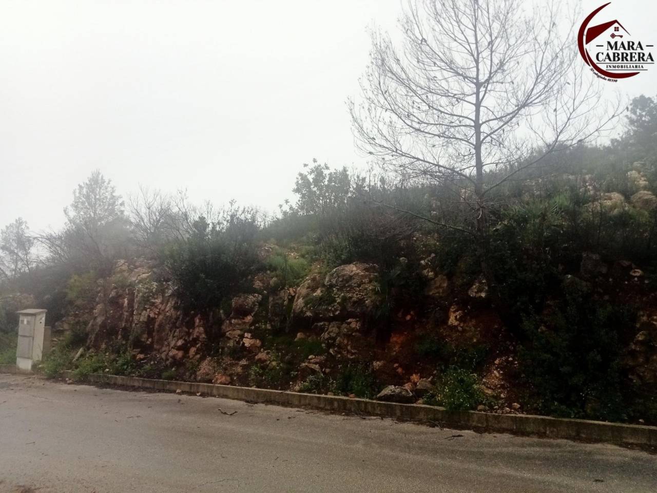 terrenos en vilallonga---villalonga · vilallonga---villalonga 125000.00€