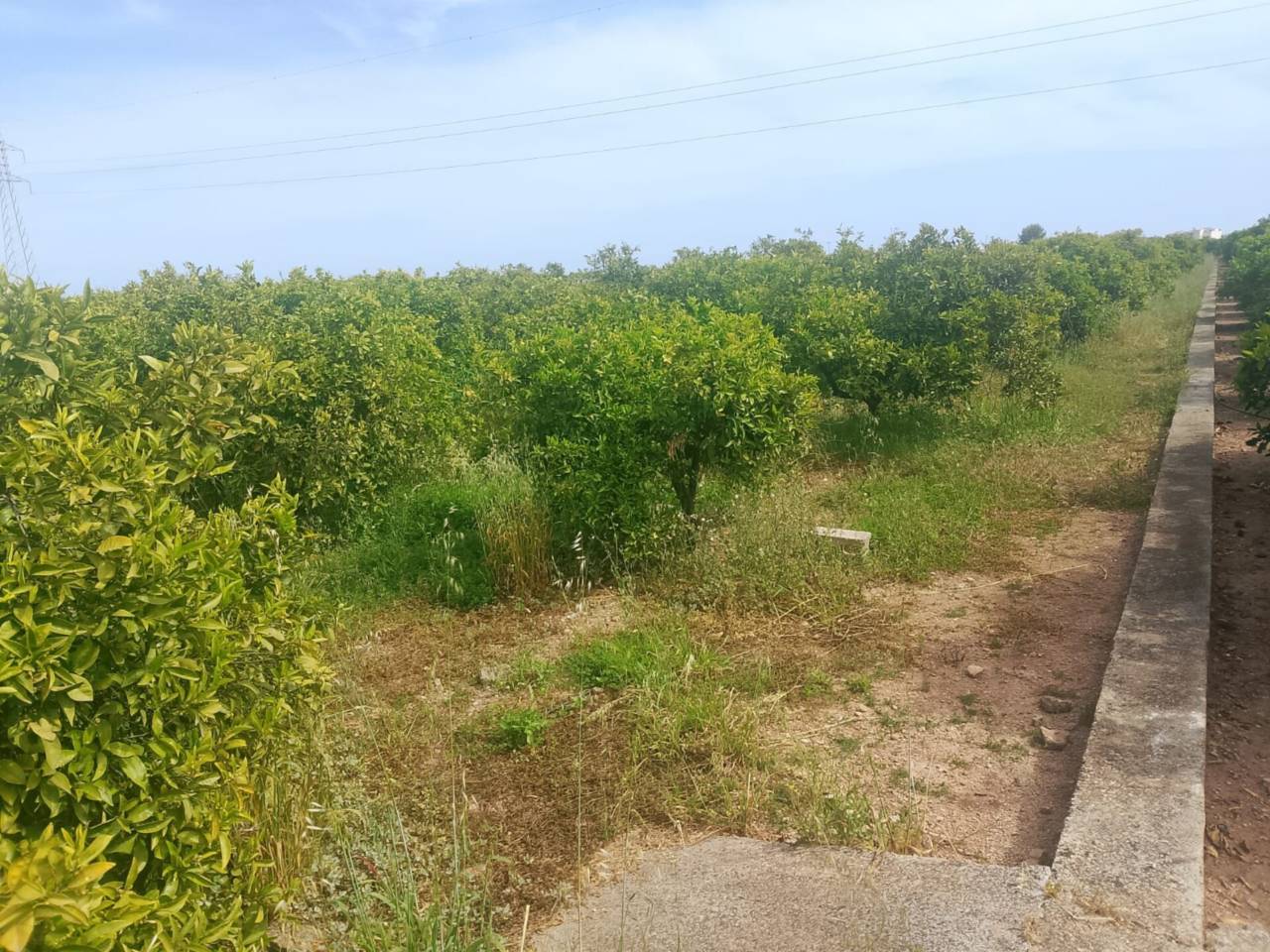 terrenos en gandia · benipeixcar-raval 27500.00€