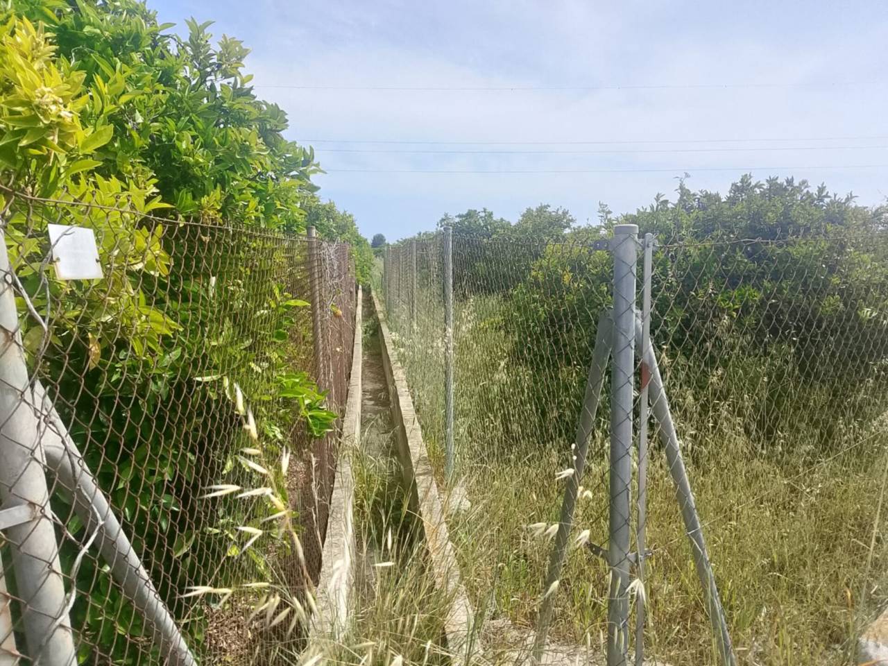 terrenos en gandia · benipeixcar-raval 27500.00€