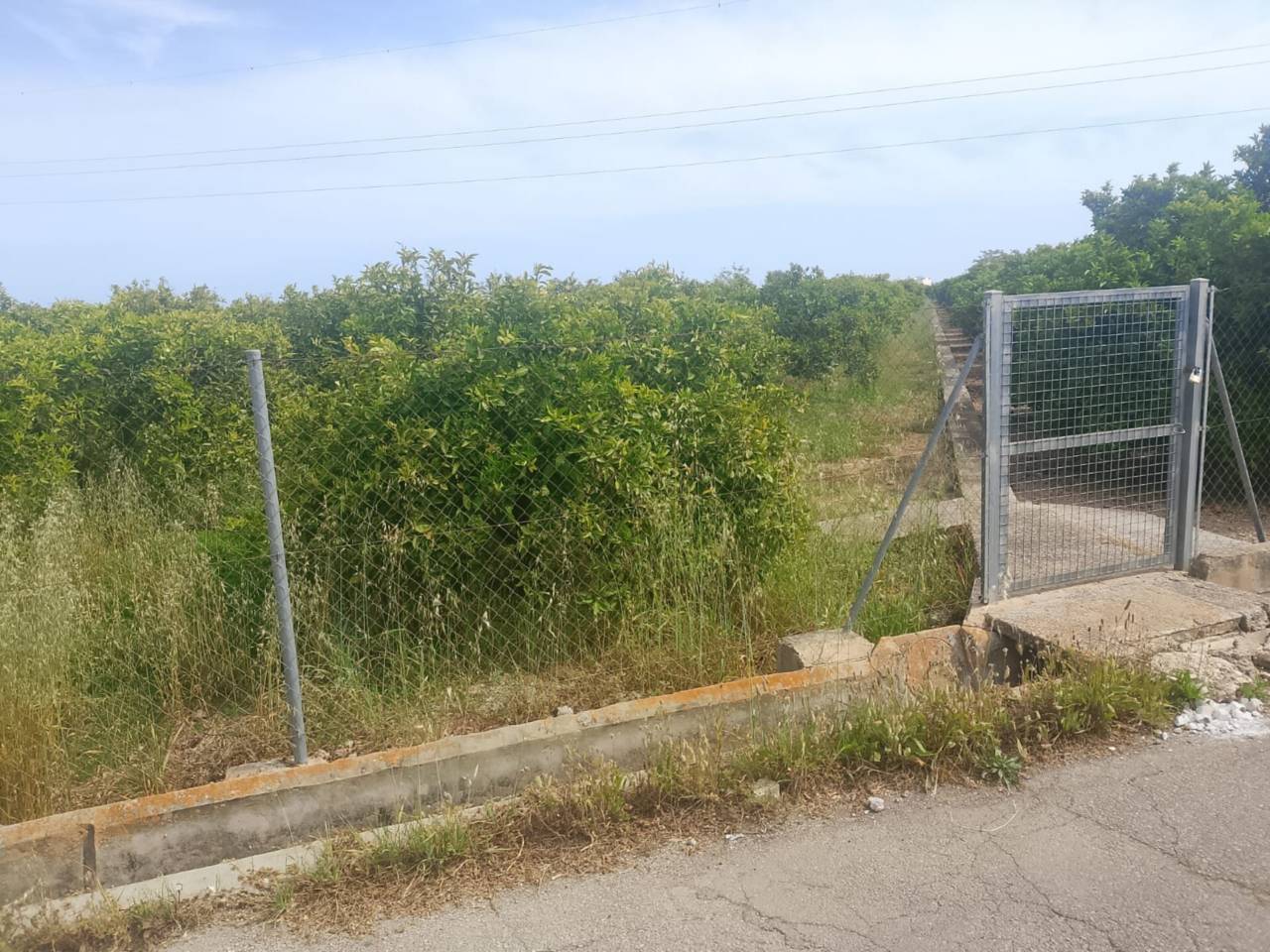 terrenos en gandia · benipeixcar-raval 27500.00€
