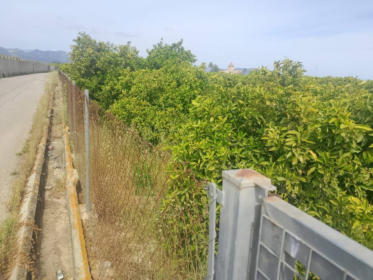 terrenos en gandia · benipeixcar-raval 27500.00€
