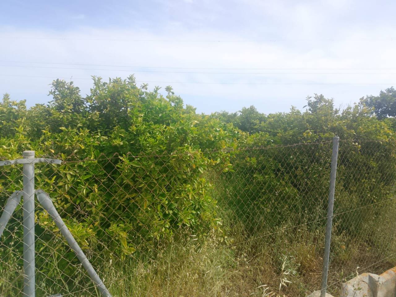 terrenos en gandia · benipeixcar-raval 27500.00€