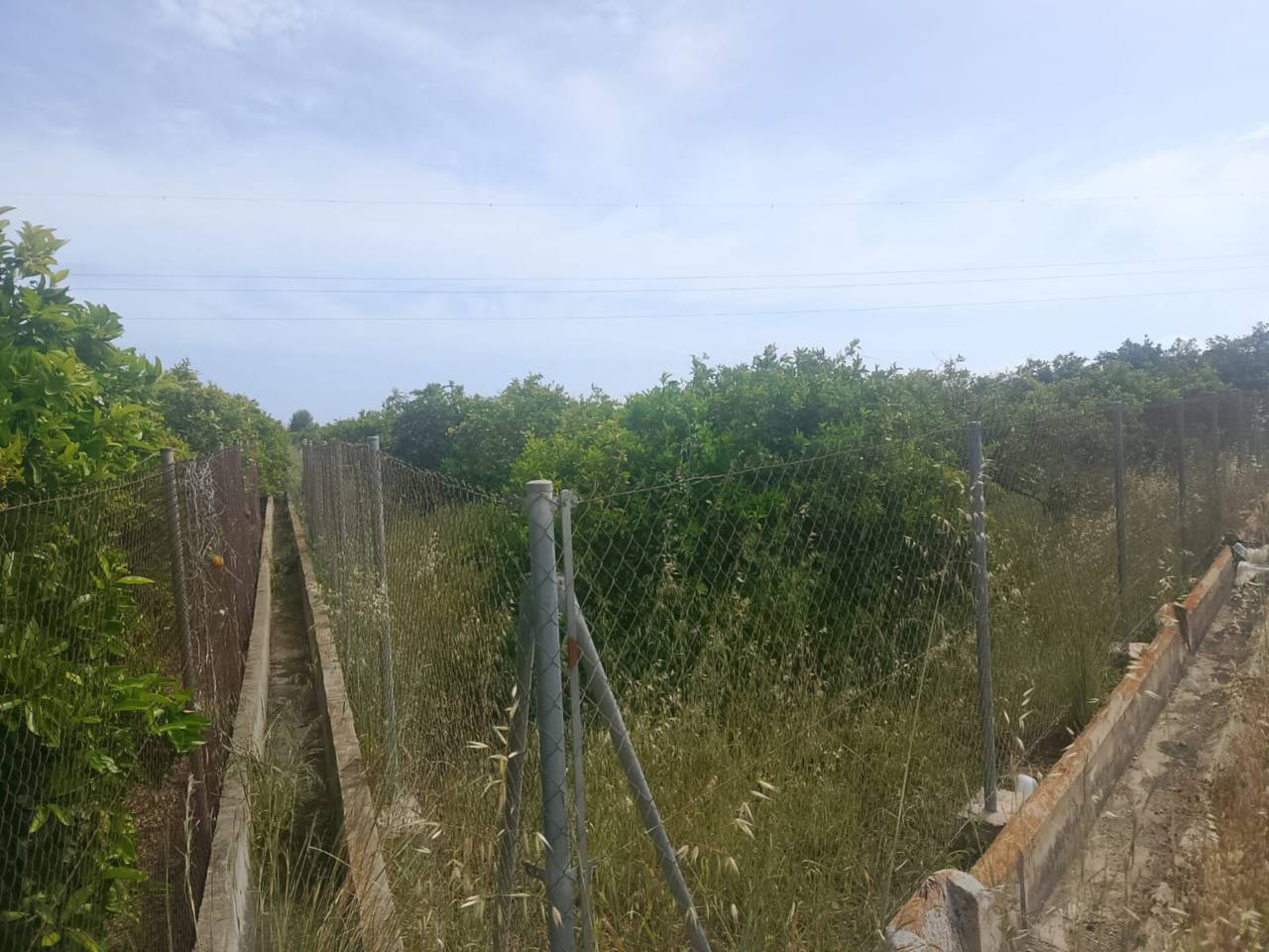 terrenos en gandia · benipeixcar-raval 27500.00€