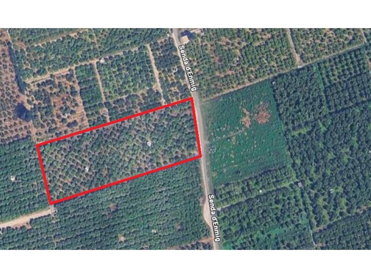terrenos en oliva · nucli-urba 30400.00€