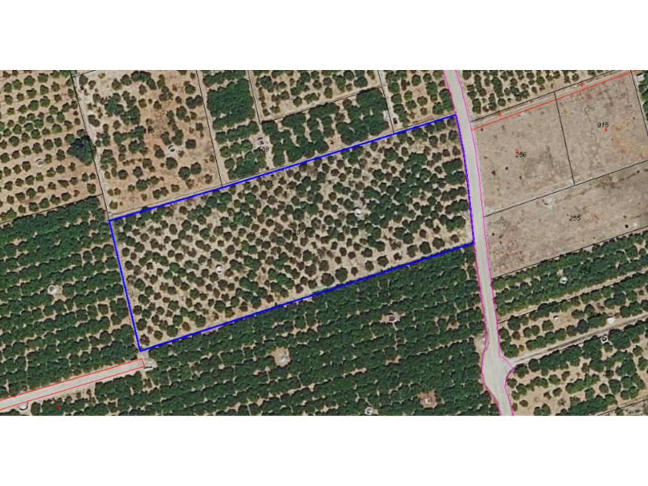 terrenos en oliva · nucli-urba 30400.00€