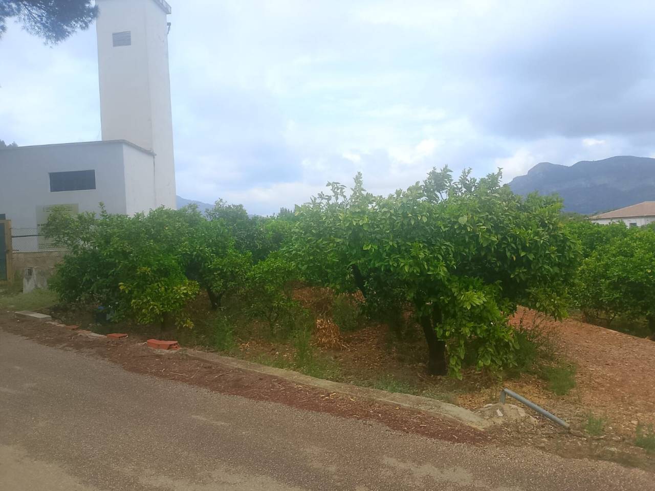 terrenos en palma-de-gandia · palma-de-gandia 27000.00€