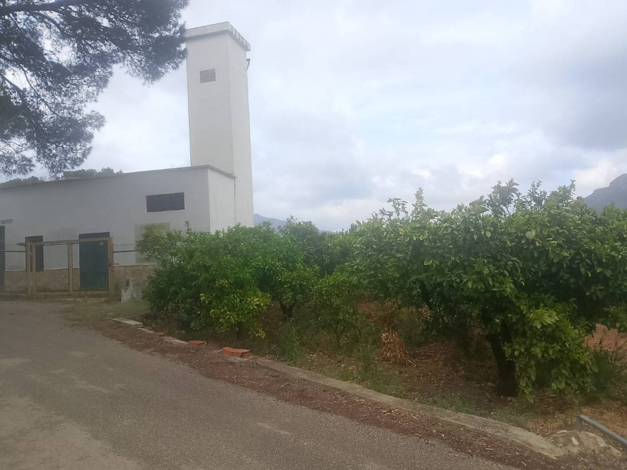 terrenos en palma-de-gandia · palma-de-gandia 27000.00€