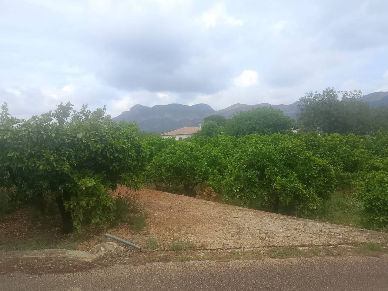 terrenos en palma-de-gandia · palma-de-gandia 27000.00€