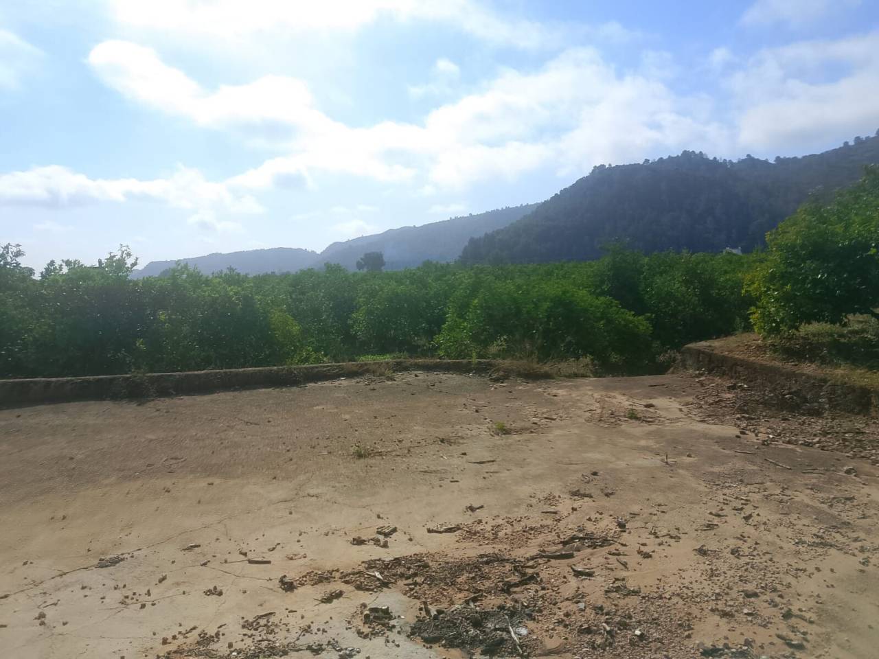 Terreno Oliva (25)