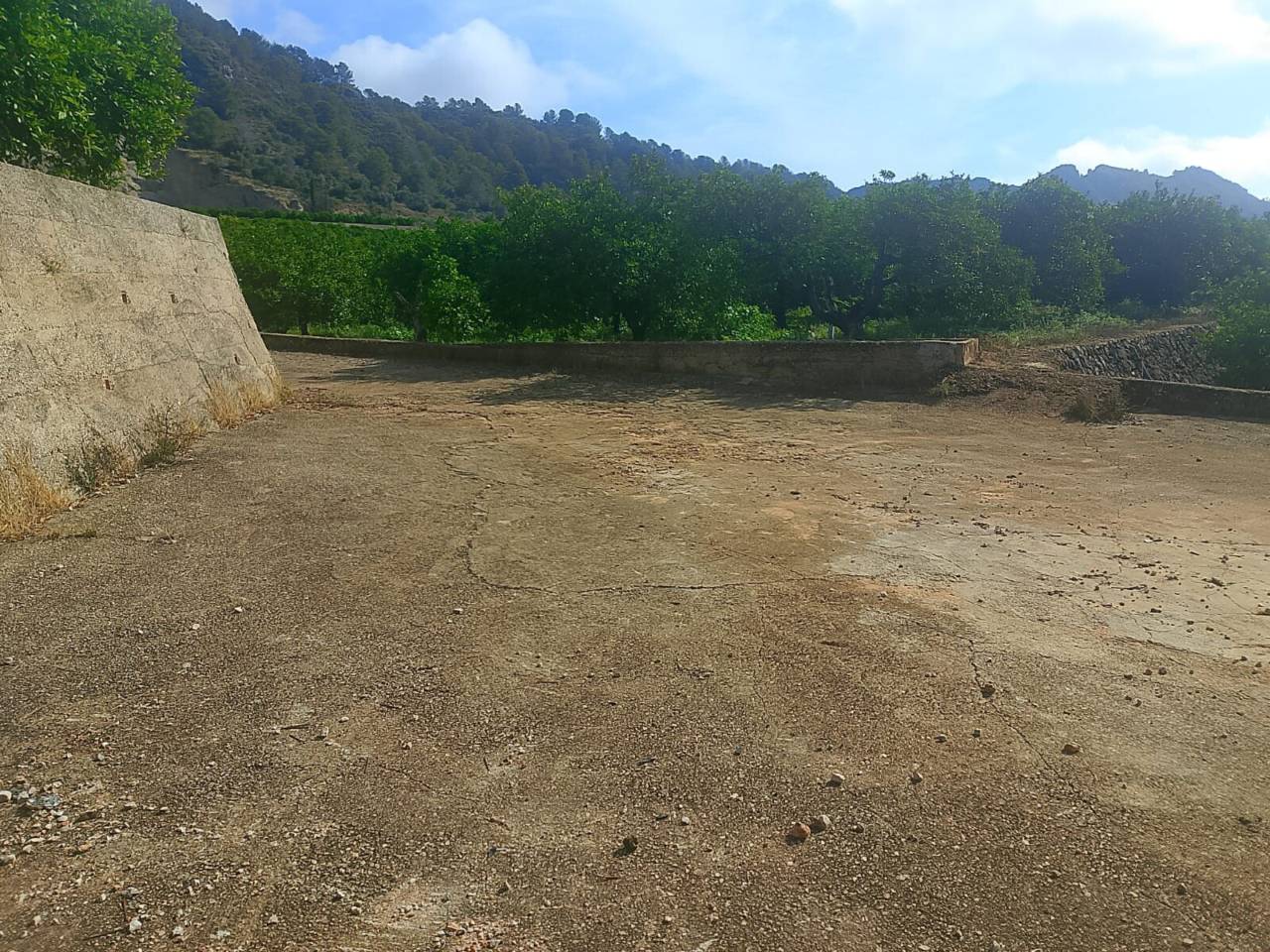 Terreno Oliva (22)