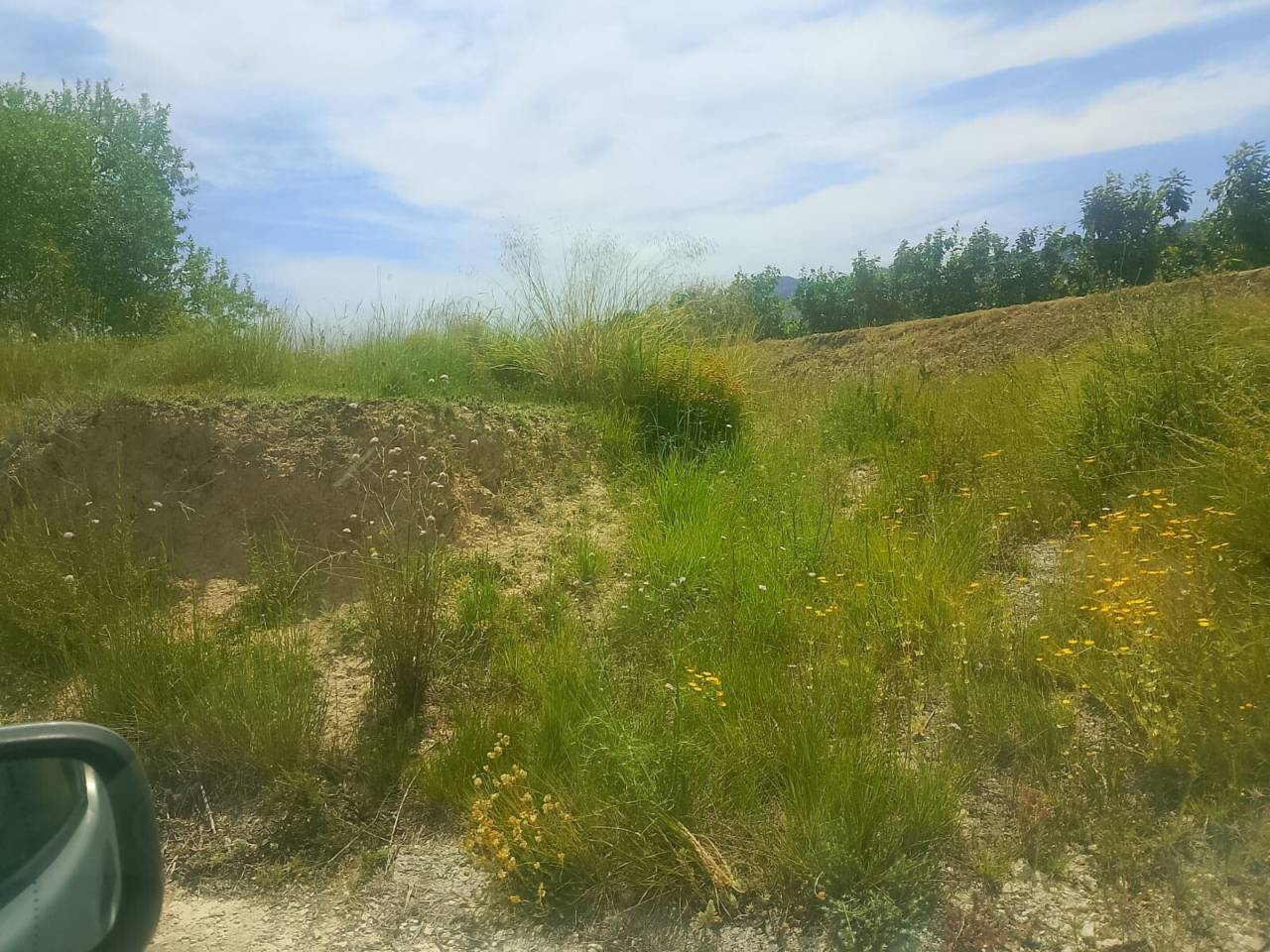 terrenos en belgida · belgida 36000.00€