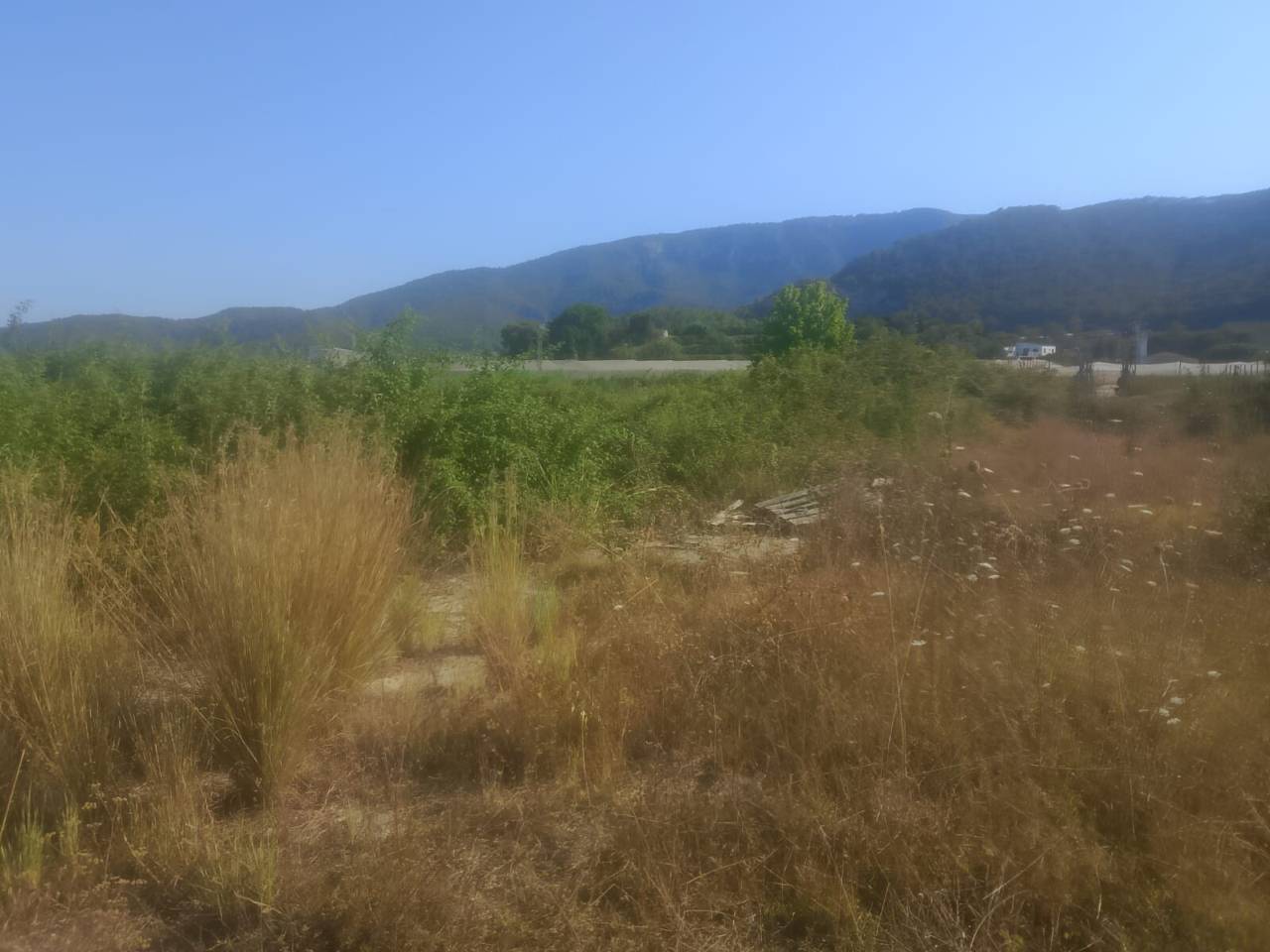terrenos en tavernes-de-la-valldigna · tavernes-de-la-valldigna 42000.00€
