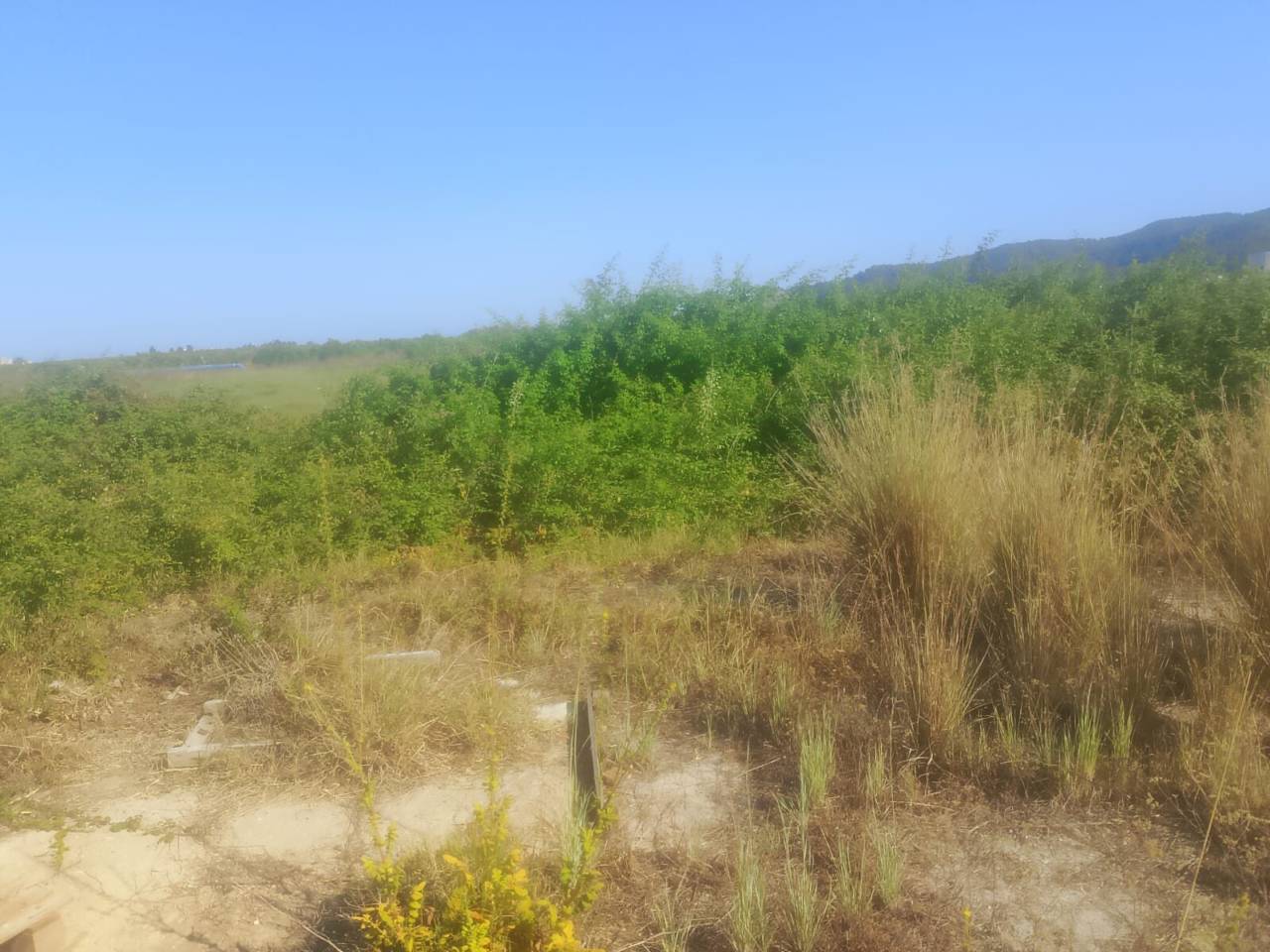 terrenos en tavernes-de-la-valldigna · tavernes-de-la-valldigna 42000.00€