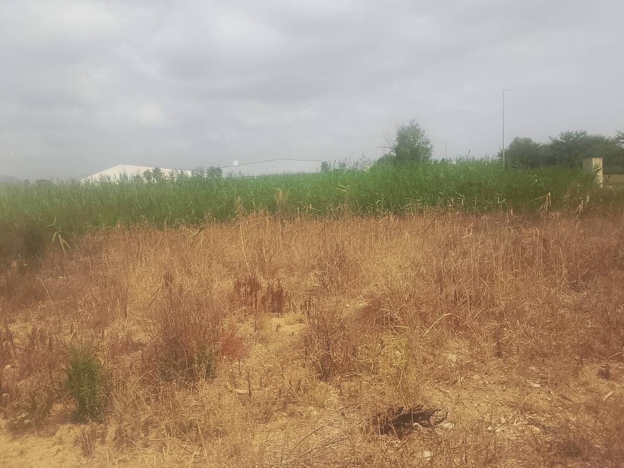 terreno-industrial en tavernes-de-la-valldigna · tavernes-de-la-valldigna 85000.00€