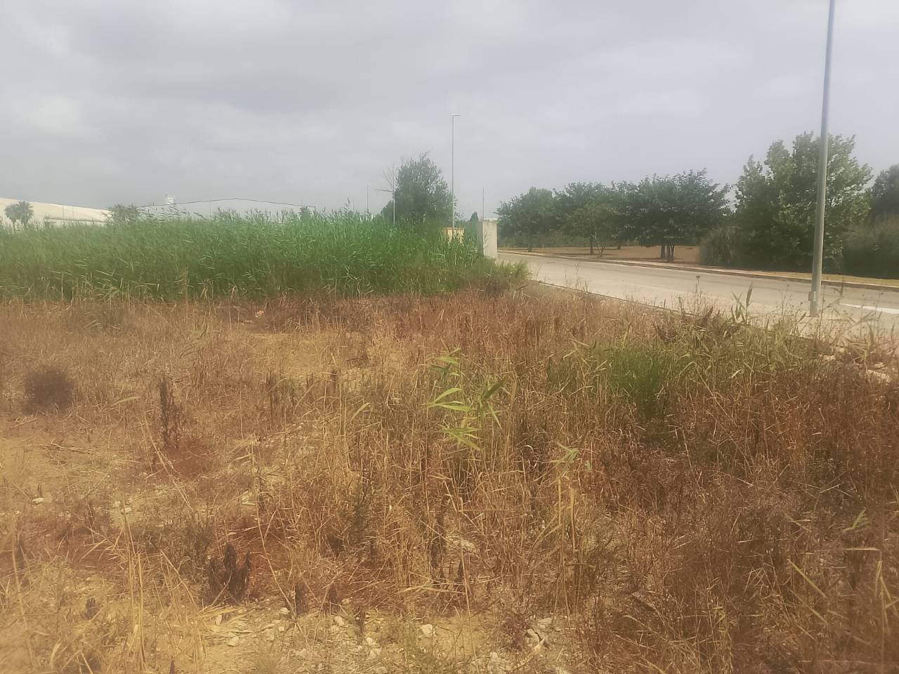 terreno-industrial en tavernes-de-la-valldigna · tavernes-de-la-valldigna 85000.00€