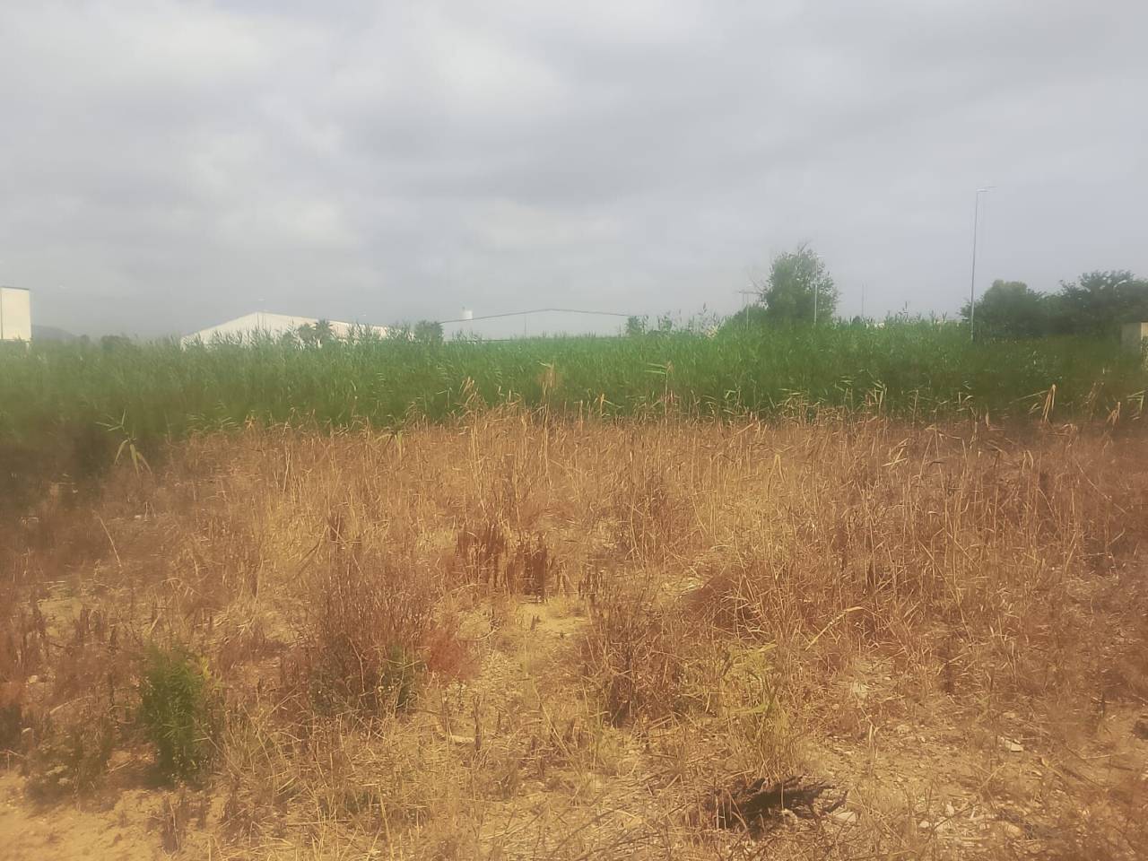 terreno-industrial en tavernes-de-la-valldigna · tavernes-de-la-valldigna 85000.00€