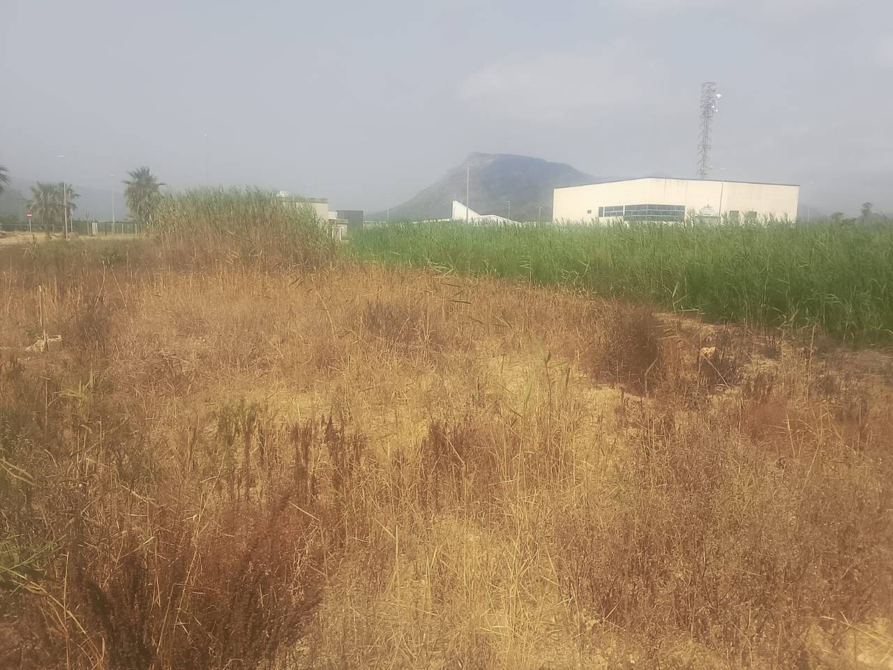 terreno-industrial en tavernes-de-la-valldigna · tavernes-de-la-valldigna 85000.00€