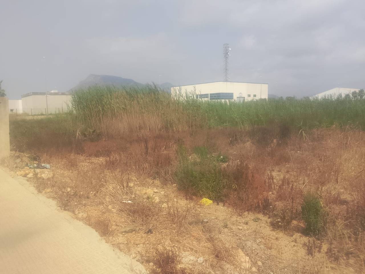 terreno-industrial en tavernes-de-la-valldigna · tavernes-de-la-valldigna 85000.00€