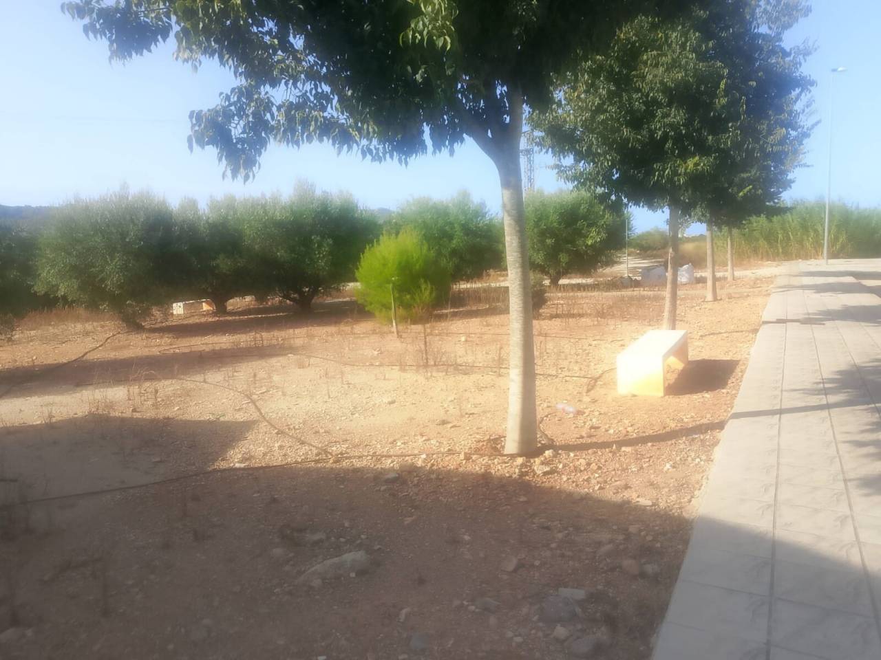 terreno-industrial en ador · ador 173690.00€