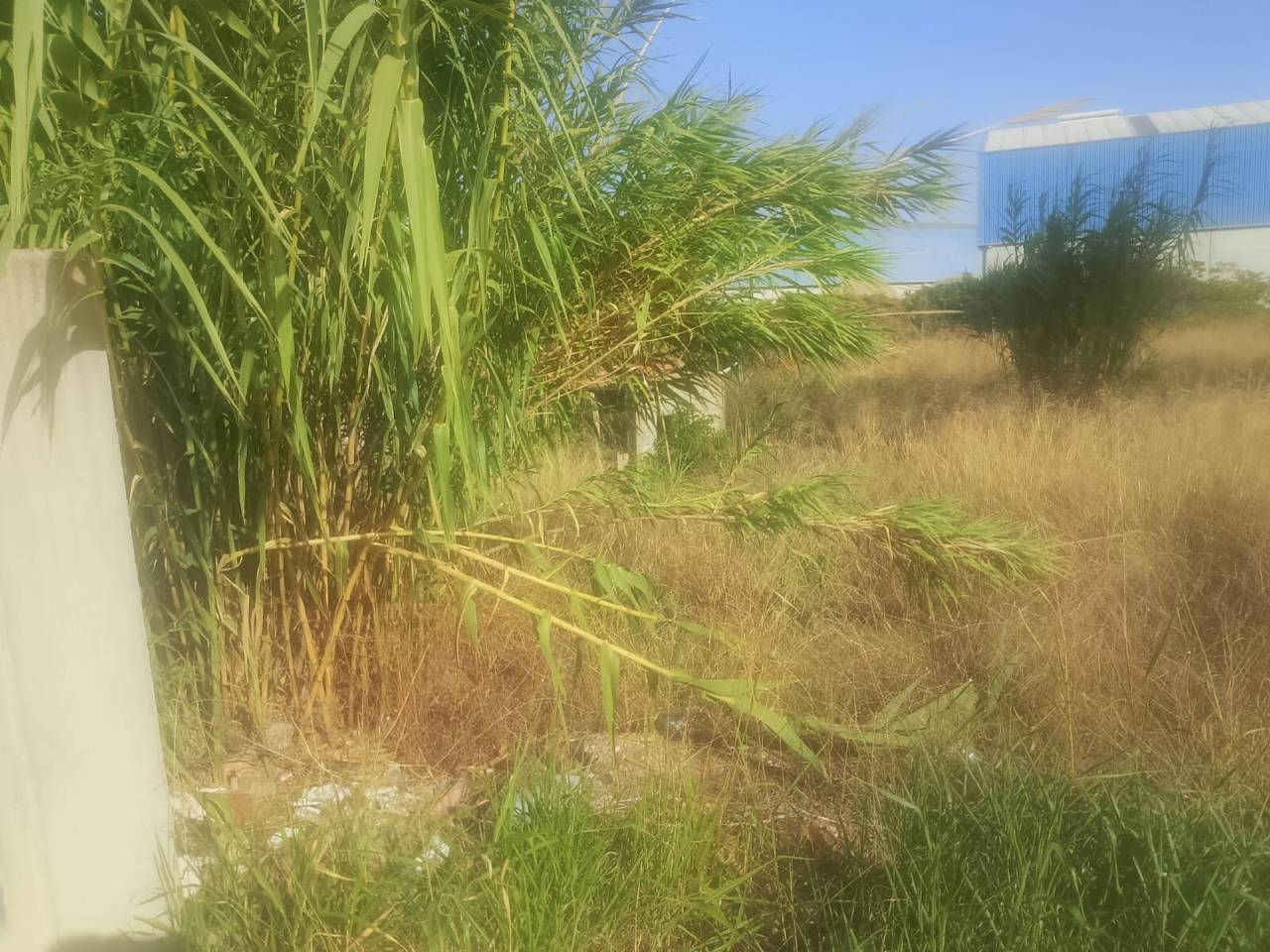 terreno-industrial en ador · ador 173690.00€